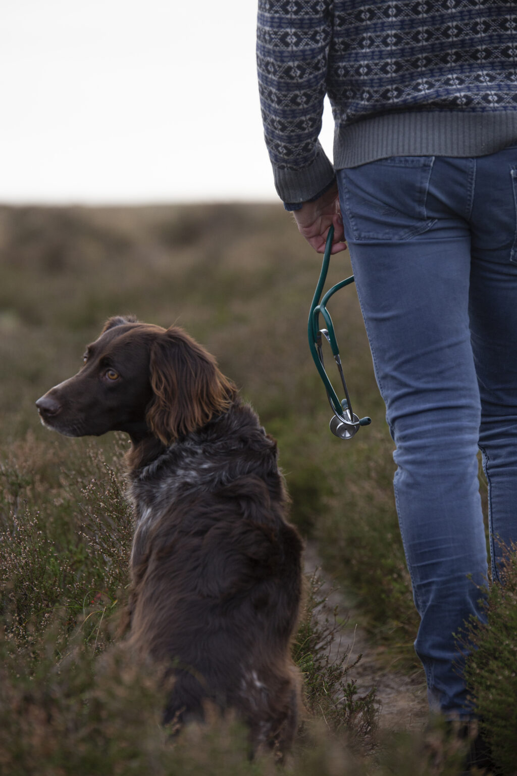 VeteriNära Hembesök av veterinär i Vellinge, Höllviken, Falsterbo, Skanör